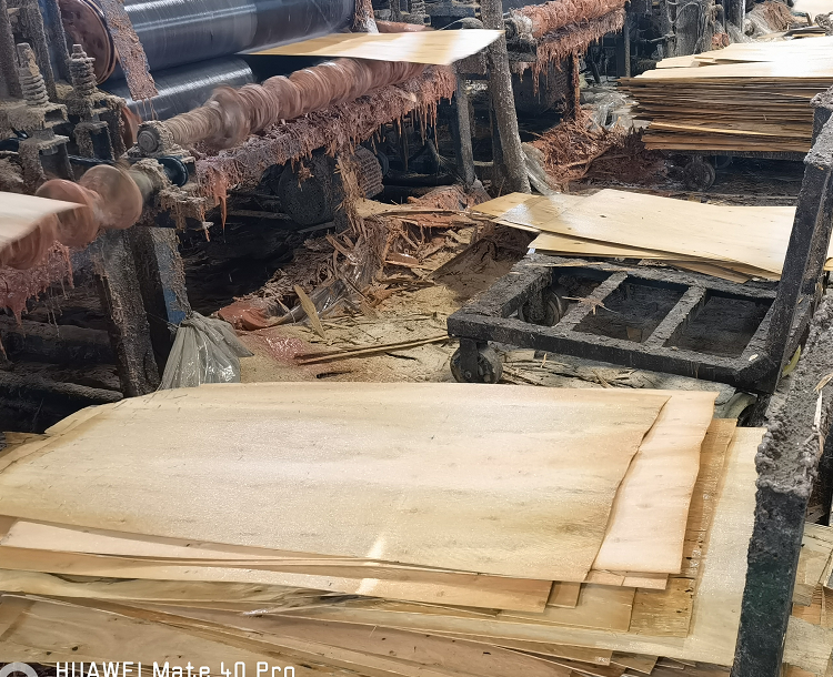 官方揭秘影響建筑模板質(zhì)量的5大因素插圖 每一片板材都要充分過膠